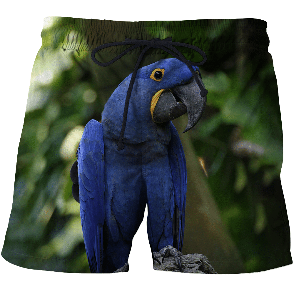 3D All Over Print Blue Macaw Parrot Hoodie - Amaze Style�?�