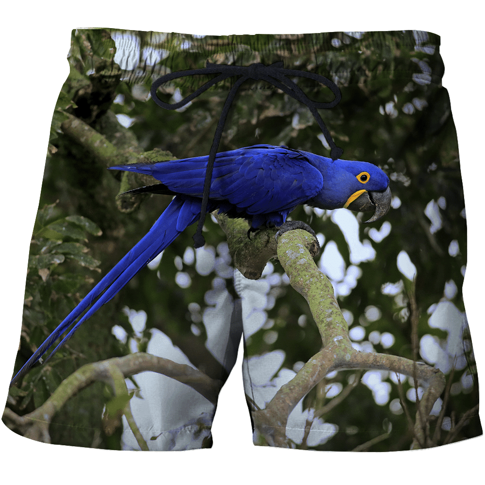 3D All Over Print Beautiful Blue Macaw Parrot Hoodie - Amaze Style�?�