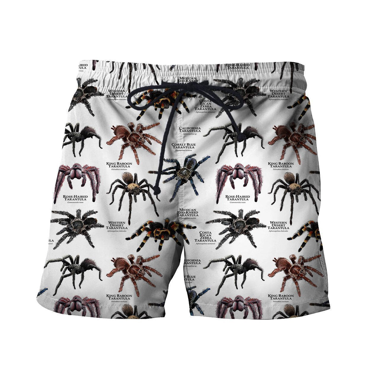 3D All Over Printed Tarantulas of the World Shirts - Amaze Style�?�