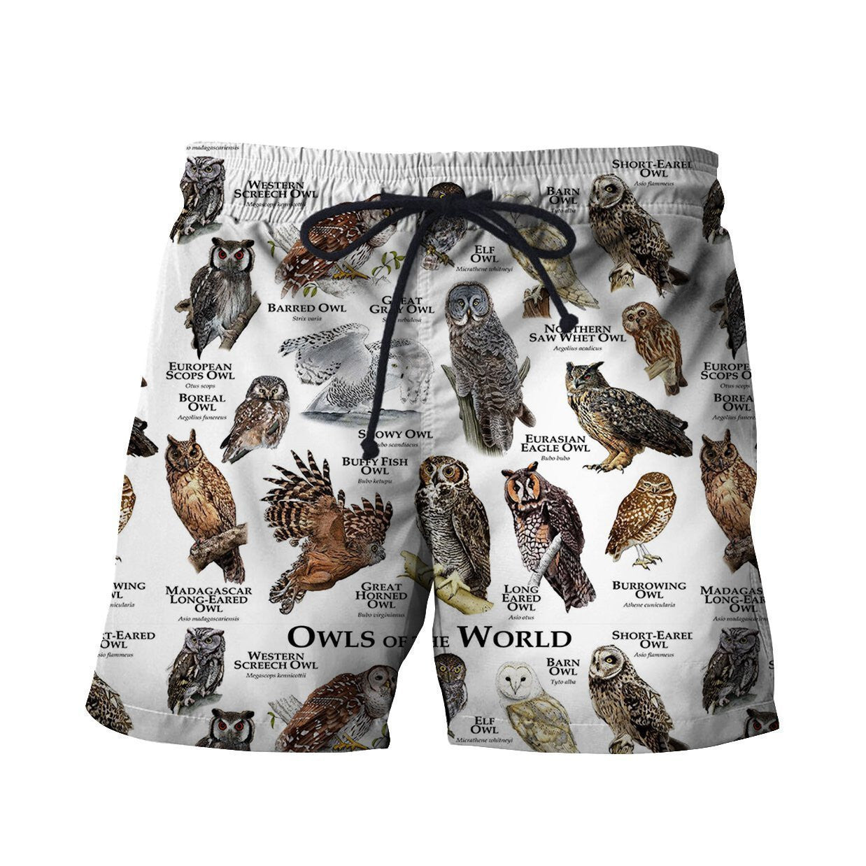 3D All Over Printed Owls of The World Shirts And Shorts - Amaze Style�?�