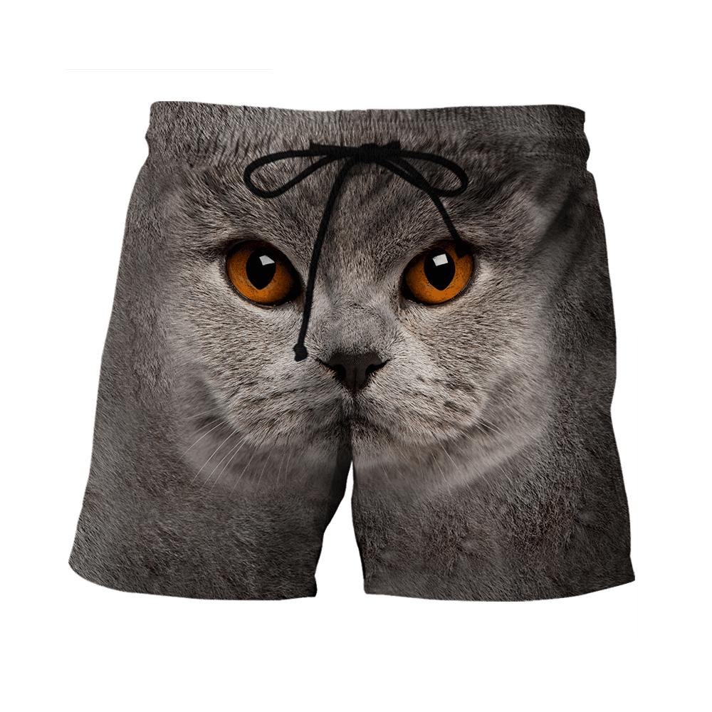 British Shorthair Cat face hair premium hoodie sweatshirt cover - Amaze Style�?�