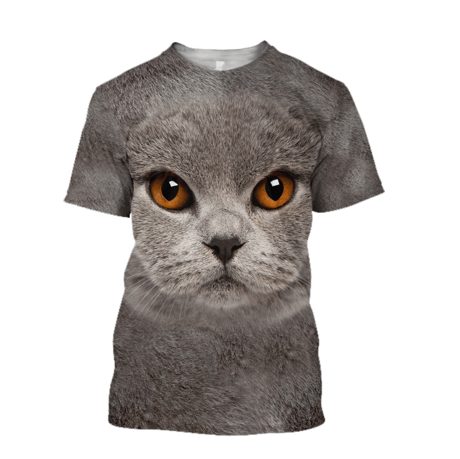 British Shorthair Cat face hair premium hoodie sweatshirt cover - Amaze Style�?�