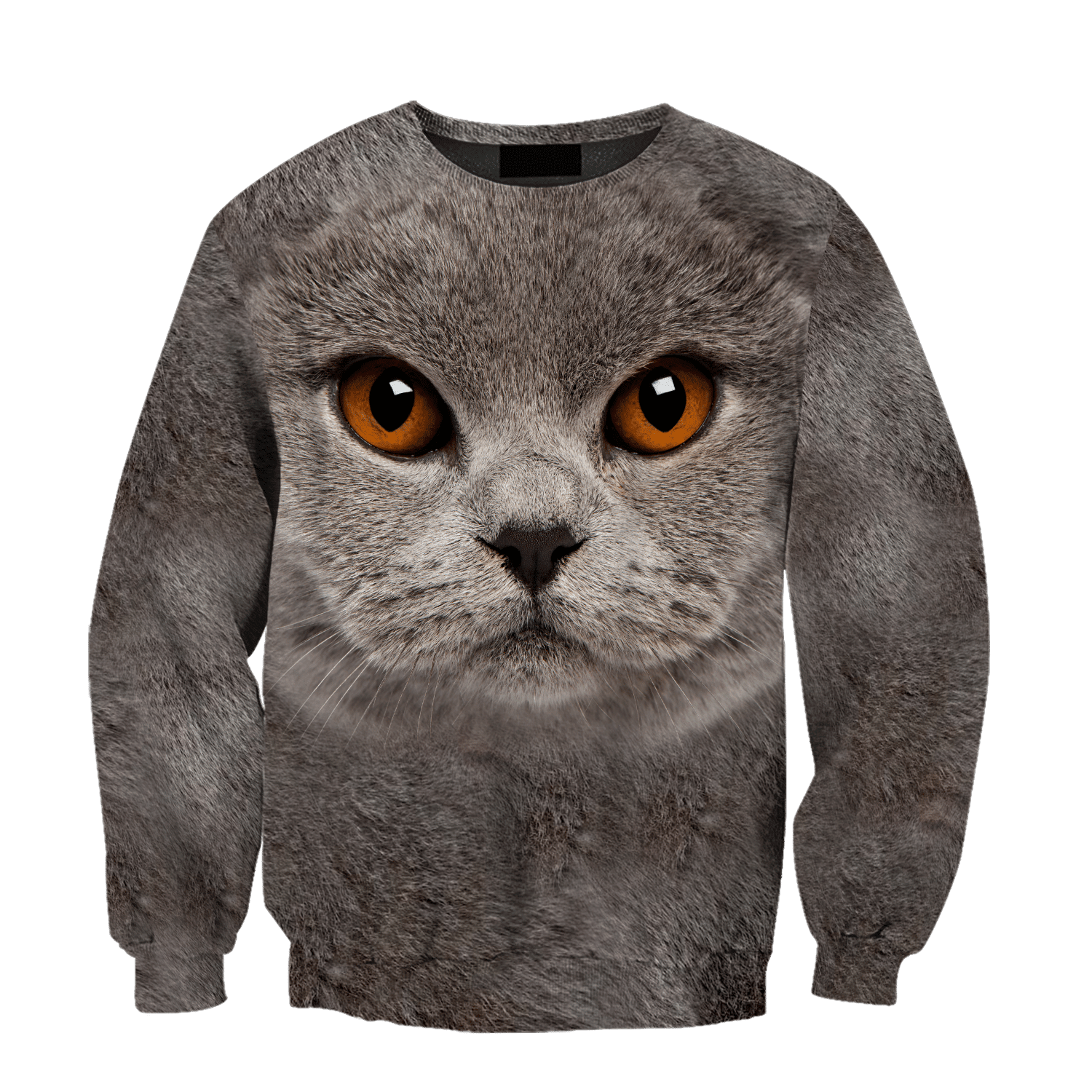 British Shorthair Cat face hair premium hoodie sweatshirt cover - Amaze Style�?�